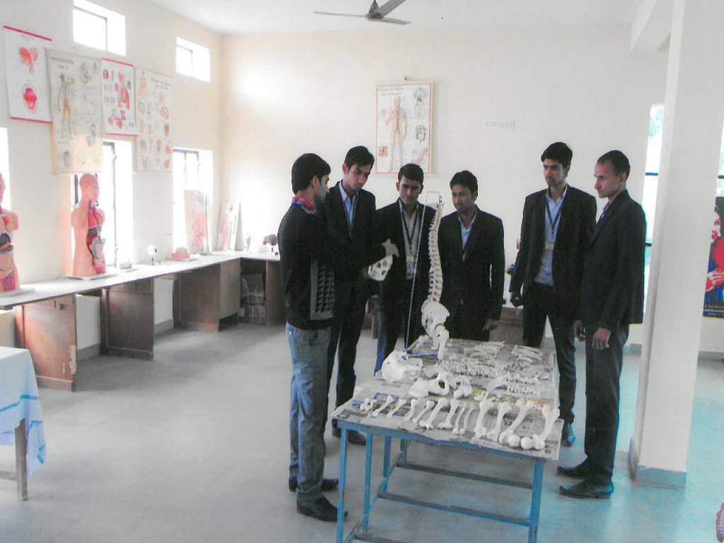 lab